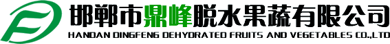 上海雨林翻譯有限公司